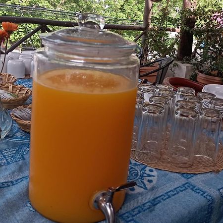 Mio Tulum Hotel Boutique المظهر الخارجي الصورة A glass dispenser of freshly squeezed orange juice