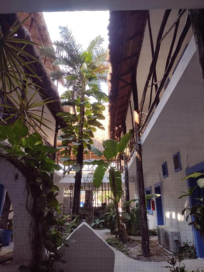 Mio Tulum Hotel Boutique المظهر الخارجي الصورة The interior of the hotel