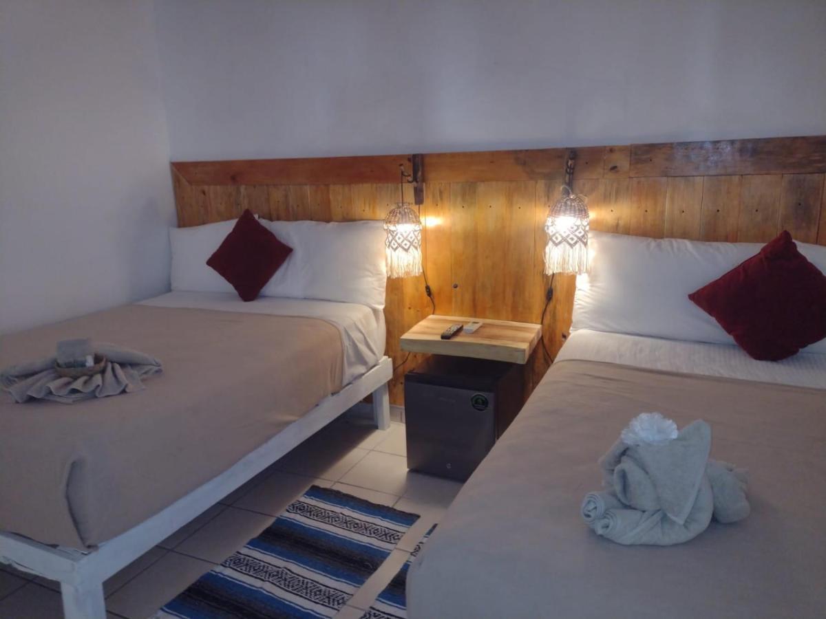 Mio Tulum Hotel Boutique المظهر الخارجي الصورة A room at the hotel